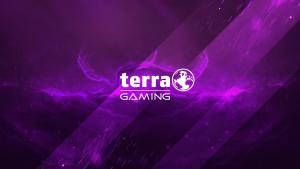 Wallpaper von Terra Gaming